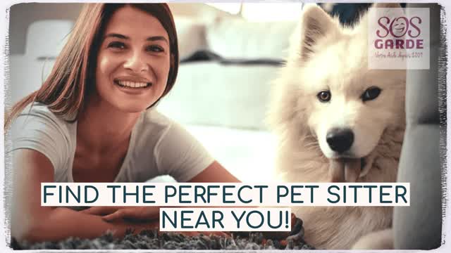 Garde d' Animaux à Domicile  Chiens Chats & Animaux de compagnie  SOSgarde