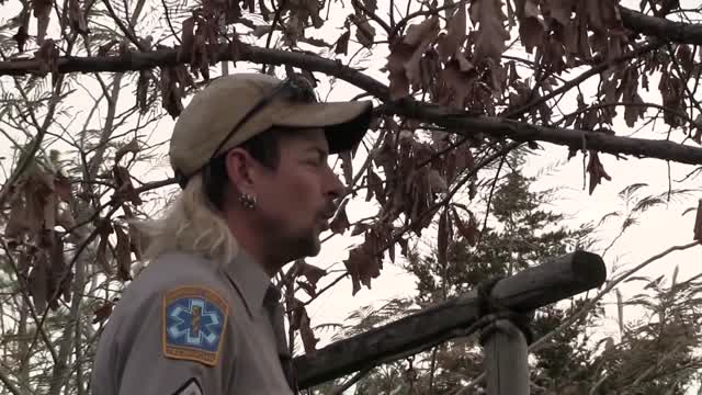 Joe Exotic TV 2022.  Episode 1  Pilot - HD 720p