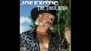 Joe Exotic - Say Something Cover