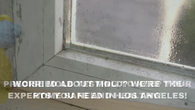 WELCOME TO MOLD TESTING AND REMOVAL