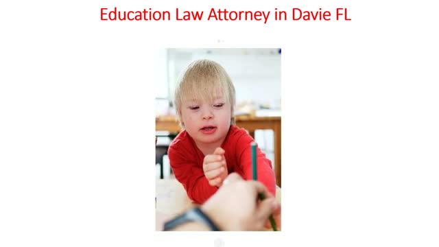 Chaya Posner Education Law Attorney in Davie, FL