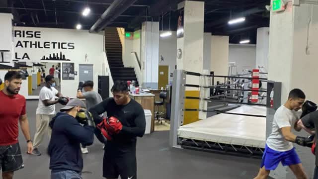 Rise Athletics - Professional Boxing Classes in Los Angeles, CA
