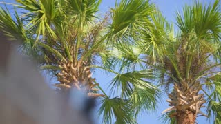 Tallahassee Photo & Video - Affordable Real Estate Photography in Tallahassee, FL