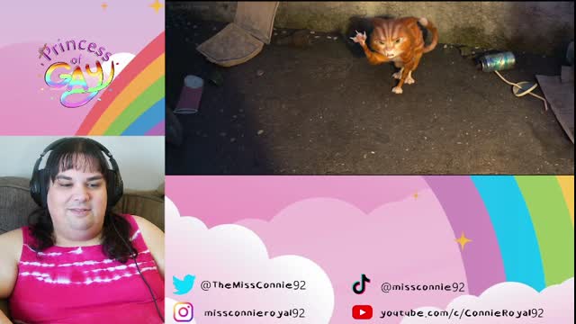 BYMX!4-6 (Reaction)