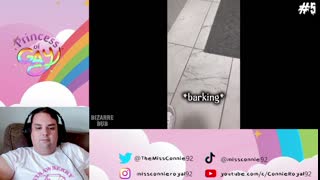 TNTBS (Reaction)