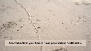 Mold remediation Miami Beach