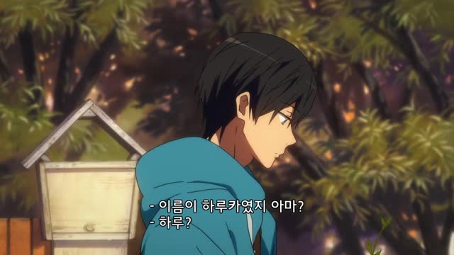 Free! -Eternal Summer- 12화 이향의 스윔 오프!