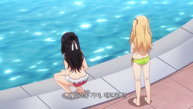 개가 되었더니 좋아하는 사람이 날 주웠다. OVA 1화 도그 풀.