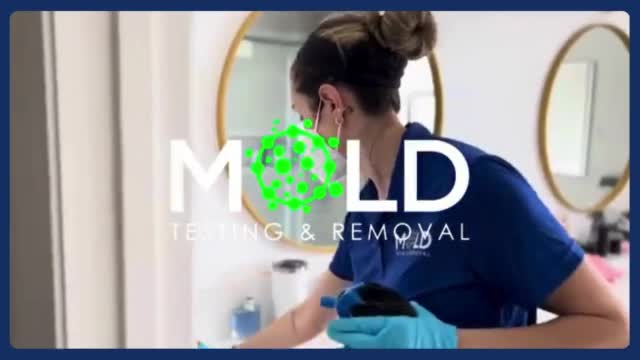 Mold abatement Los Angeles