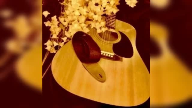 Vitale Guitar NYC 60s