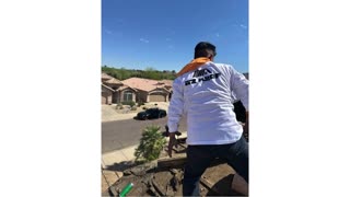 phoenix roof repairs