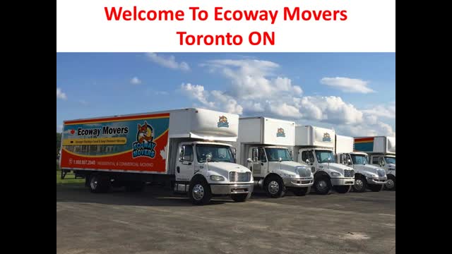 Ecoway Movers : Affordable Moving Company in Toronto You Can Actually Trust