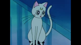 Sailor Moon Episode 42