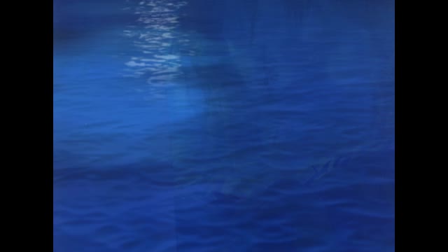 The.Land.Before.Time.VIII.The.Big.Freeze.2001.1080p.WEBRip.x264-[YTS.AM]