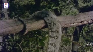 Saawan Ke Geet 1978 - Sanjeev Kumar, Rekha- Romantic Movie