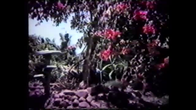 Zindagi Jeene Ke Liye 1984