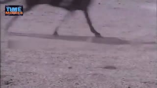 Himalay ki Godmien 1965 -  Mala Sinha, Manoj Kumar, Shashikala.