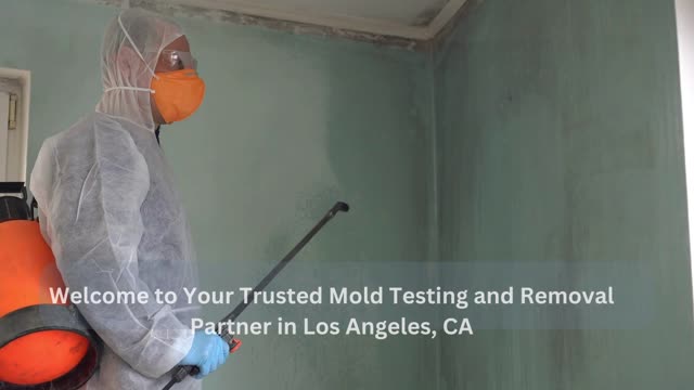Mold testing service Los Angeles