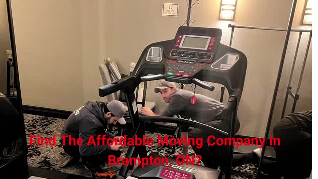 Ecoway Movers - Affordable Moving Company in Brampton, ON