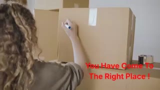 Ecoway Movers in Brampton, ON | L6T 3T4