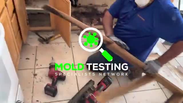 Los Angeles mold testing