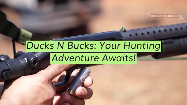 Quack into Prosperity  Ducks ‘N Bucks Unveiled