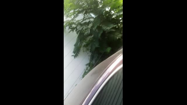 My Lights are repeating the same question over and over again (full movie)