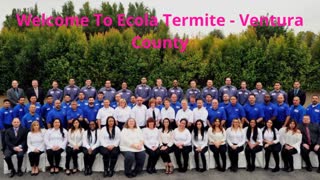 Ecola Termite – Trusted Pest Control in Oxnard, CA