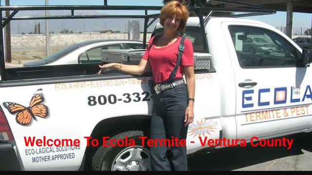 Ecola Termite _ Eco-Friendly Pest Control in Ventura, CA
