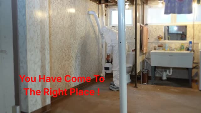 Ecola Termite - #1 Pest Control in Ventura County | 93036