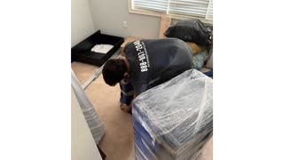 Ecoway Movers - Professional Mover in Oshawa, ON