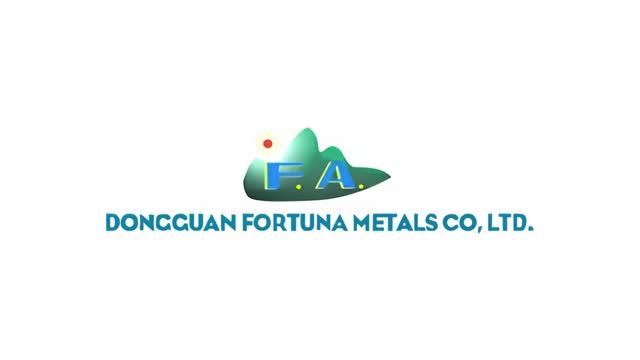 automotive stamping - Dongguan Fortuna Metals