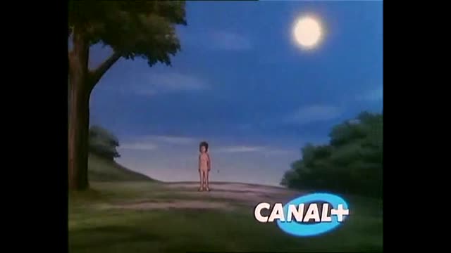 Il etait une fois...la vie - 23 - Les hormones