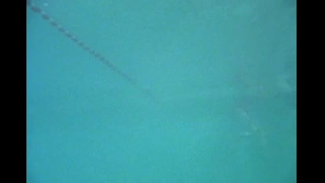 Fais.moi.peur.5x01.L'histoire.de.la.piscine.maudite.DVD Rip FR