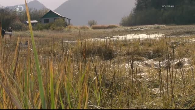 Alaskan.Bush.People.S03E07.FRENCH.HDTV.x264-COLL3CTiF