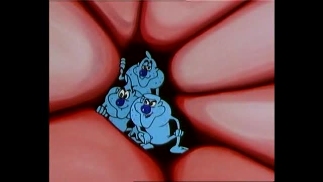 Il etait une fois...la vie - 18 - Le système lymphatique