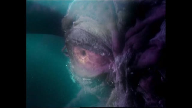 Docteur Who-S01E13-A la croisée des chemins-2e partie fr (xfp)