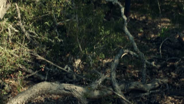 FEAR THE WALKING DEAD S06 E07 - Dommages de l'intérieur