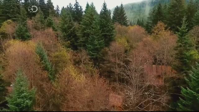 Alaskan.Bush.People.S04E00.Forever.Browntown.FRENCH.HDTV.x264-COLL3CTiF