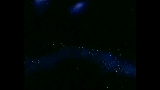 Il etait une fois...la vie - 09 - Le cerveau