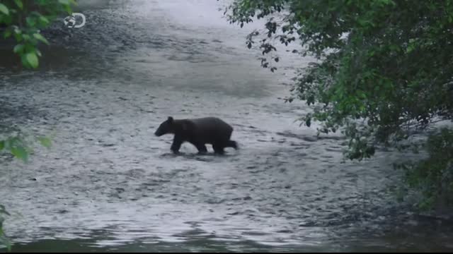 Alaskan.Bush.People.S03E16.FiNAL.FRENCH.HDTV.x264-COLL3CTiF