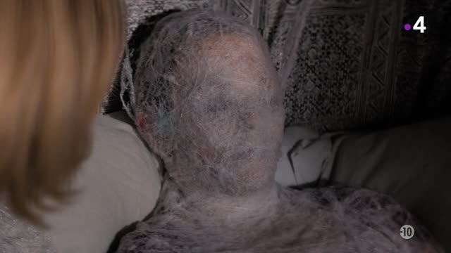 Doctor.Who.2005.S11E04.FRENCH.1080p.HDTV.H264-SH0W