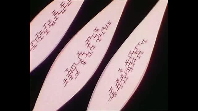 Il etait une fois...la vie - 11 - L'oeil