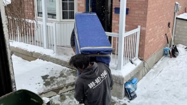 Ecoway Movers - Reliable Mover in Etobicoke, ON