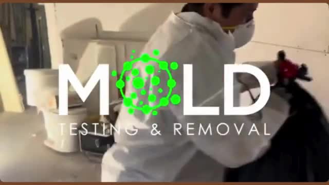 Los Angeles mold testing