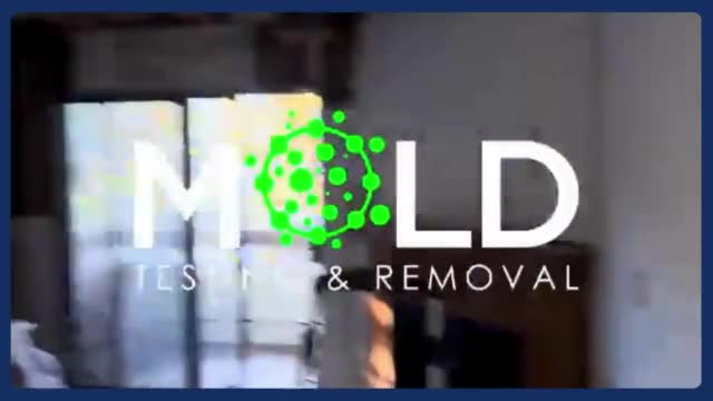 Mold testing miami