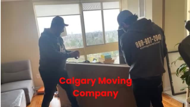 Ecoway Movers : Top-Rated Moving Company in Calgary, AB