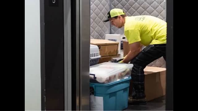 Get Movers : #1 Moving Company in King City, ON