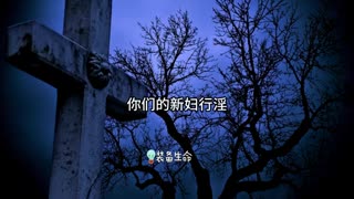 【大选过后 - 美国需要面对这些问题】这不只是美国的情况l 装备生命