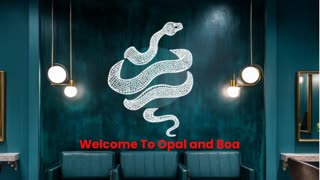 Opal and Boa : Best Hair Stylist in Philadelphia, PA
